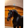Equestrian Stockholm Line Bordeaux Halter