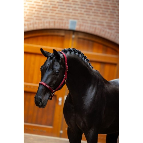 Equestrian Stockholm Line Bordeaux Halter