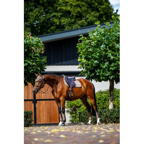 Equestrian Stockholm Line Champagne Jump Pad