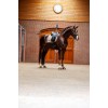 Equestrian Stockholm Champagne Classic Mesh Brushing Boots