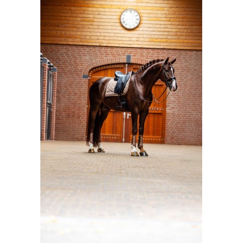Equestrian Stockholm Champagne Classic Mesh Brushing Boots