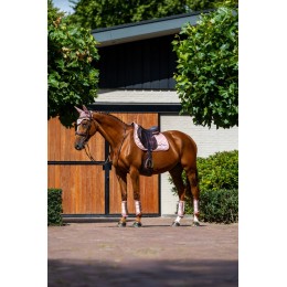 Equestrian Stockholm розовый Classic из сетки ногавки