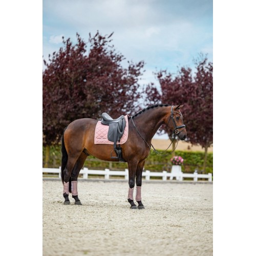 Equestrian Stockholm Pink Classic Mesh Brushing Boots