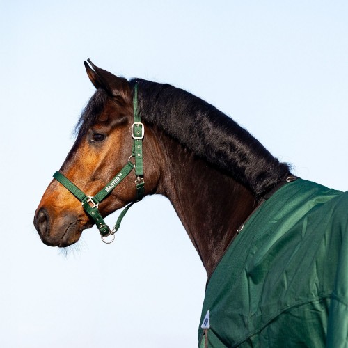 MASTER Halter Dark Green