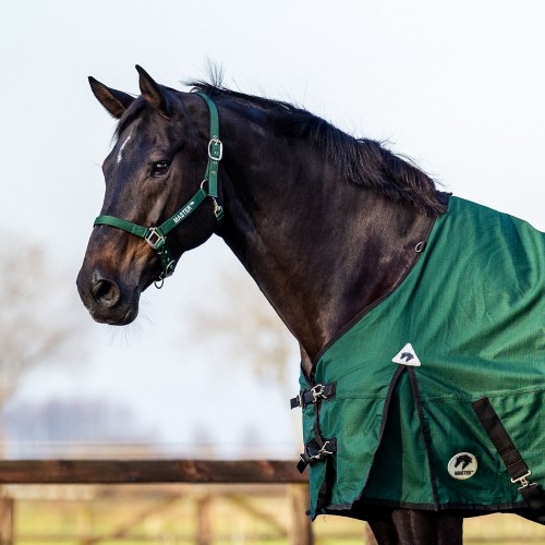 MASTER Halter Dark Green