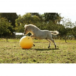 Excellent Horse Maximus Power Play Ball
