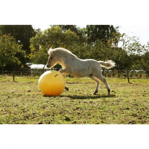 Excellent Horse Maximus Power Play Ball