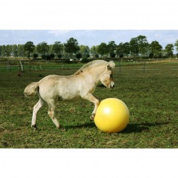 Excellent Horse Maximus Power Play Ball