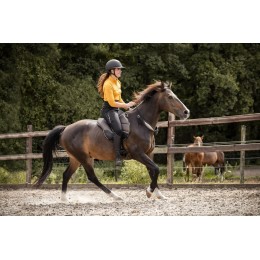 F.R.A. Dardo Basic Bling Barebackpad