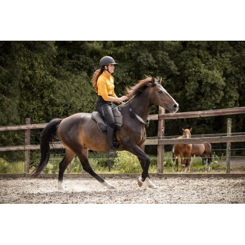 F.R.A. Dardo Basic Bling Barebackpad
