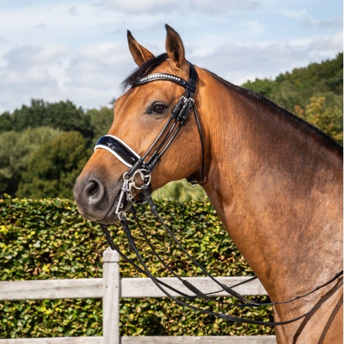 Dyon Double Bridle (Weymouth & bradoon), patent leather, white padded, rolled