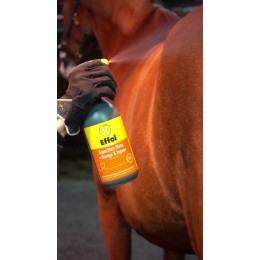 Effol SuperStar Shine Orange Ginger