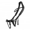 PresTeq Bridle FaySport Black Pearl