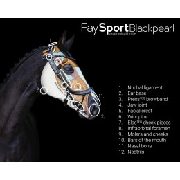 PresTeq уздечка FaySport чёрный Pearl