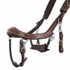 PresTeq FaySport Classic Bridle