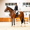 PresTeq FaySport Classic Bridle