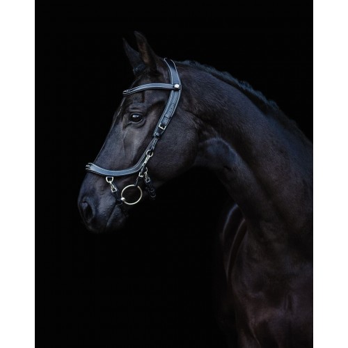 PresTeq FaySport Classic Bridle