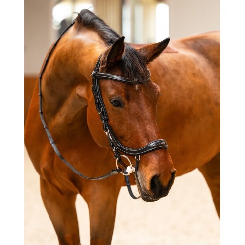 PresTeq FaySport Classic Bridle