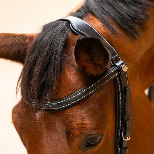 PresTeq FaySport Classic Bridle