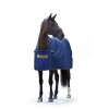 Bucas Panel Prize Cooler