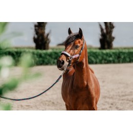 красный Horse SS26 Headворотник комплект Akira