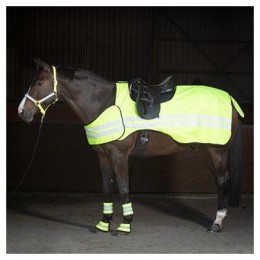 Harry's Horse Reflective недоуздок