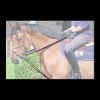 Dyon Slofteugel in leer/nylon 5/8" D Collection