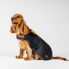 Horseware Newmarket Dog Coat