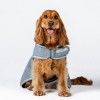 Horseware Newmarket Dog Coat