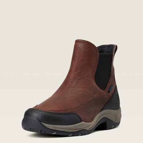 Ariat Terrain Blaze Waterproof Stable Shoe