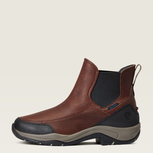 Ariat Terrain Blaze Waterproof Stable Shoe