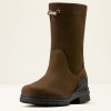 Ariat Barnyard Brooke Waterproof