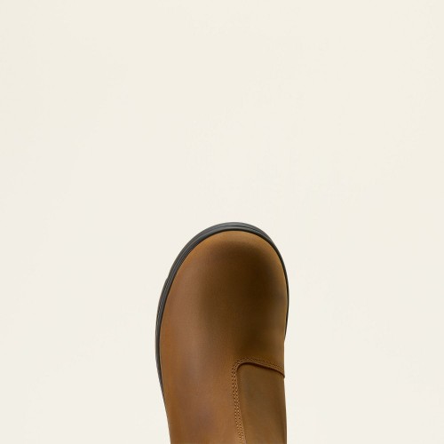 Ariat Whitby Jodhpurs Kids