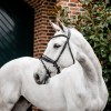 Horseware Diamante Flash Bridle