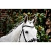 Horseware Diamante Flash Bridle