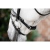 Horseware Diamante Flash Bridle