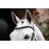 Horseware Diamante Flash Bridle