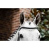 Horseware Diamante Flash Bridle