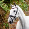Horseware Diamante Flash Bridle
