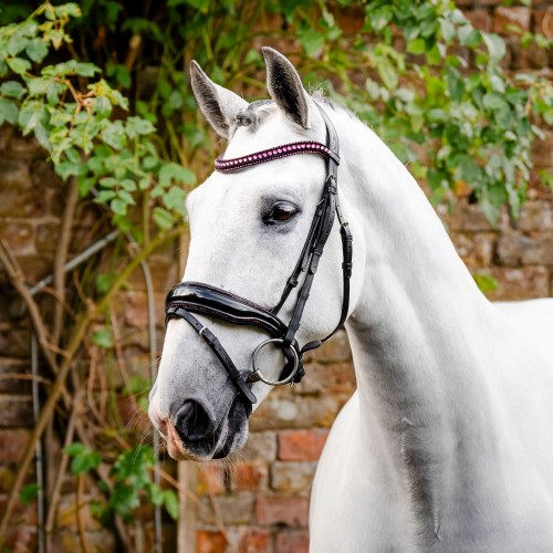 Horseware Diamante Flash Bridle