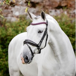 Horseware Diamante Flash уздечка