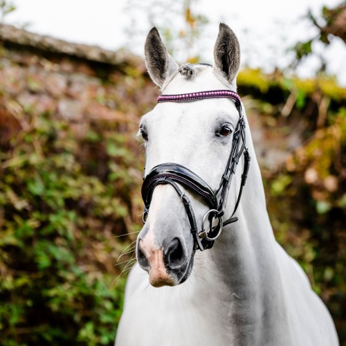 Horseware Diamante Flash Bridle