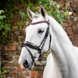 Horseware Diamante Flash уздечка