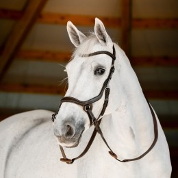 Horseware Micklem безтрензельная уздечка