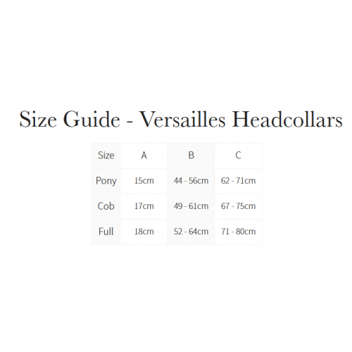 LeMieux SS26 Versailles Headcollar