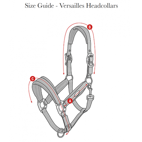 LeMieux SS26 Versailles Headcollar