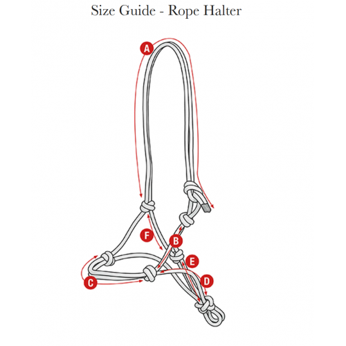 LeMieux SS25 Rope Halter
