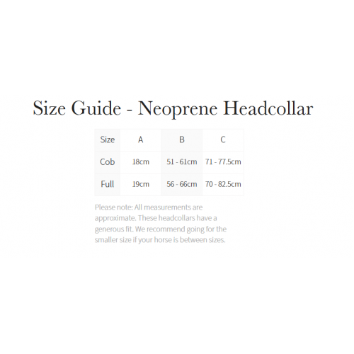 LeMieux CORE Essential Yard Headcollar