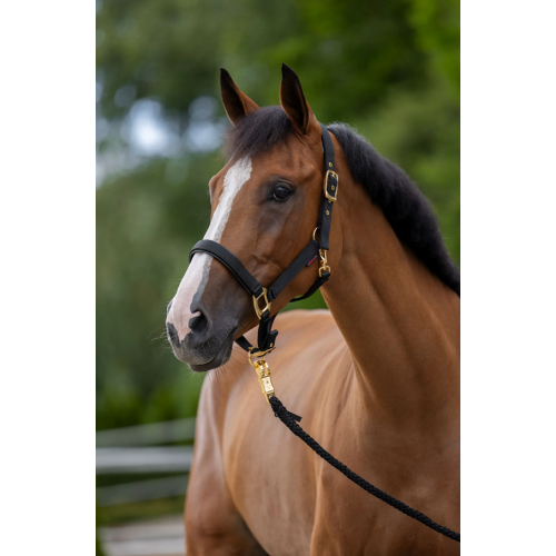Covalliero TopLine Halter