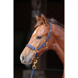 Covalliero TopLine недоуздок